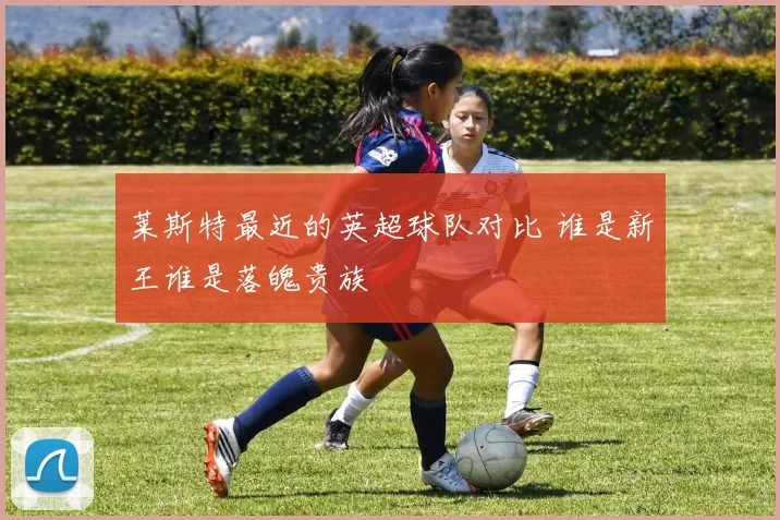 莱斯特最近的英超球队对比 谁是新王谁是落魄贵族