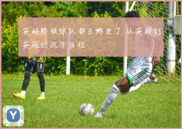 英超降级球队都去哪里了 从英超到英冠的沉浮历程