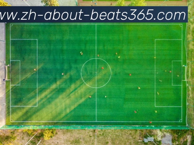 beats365平台生态图